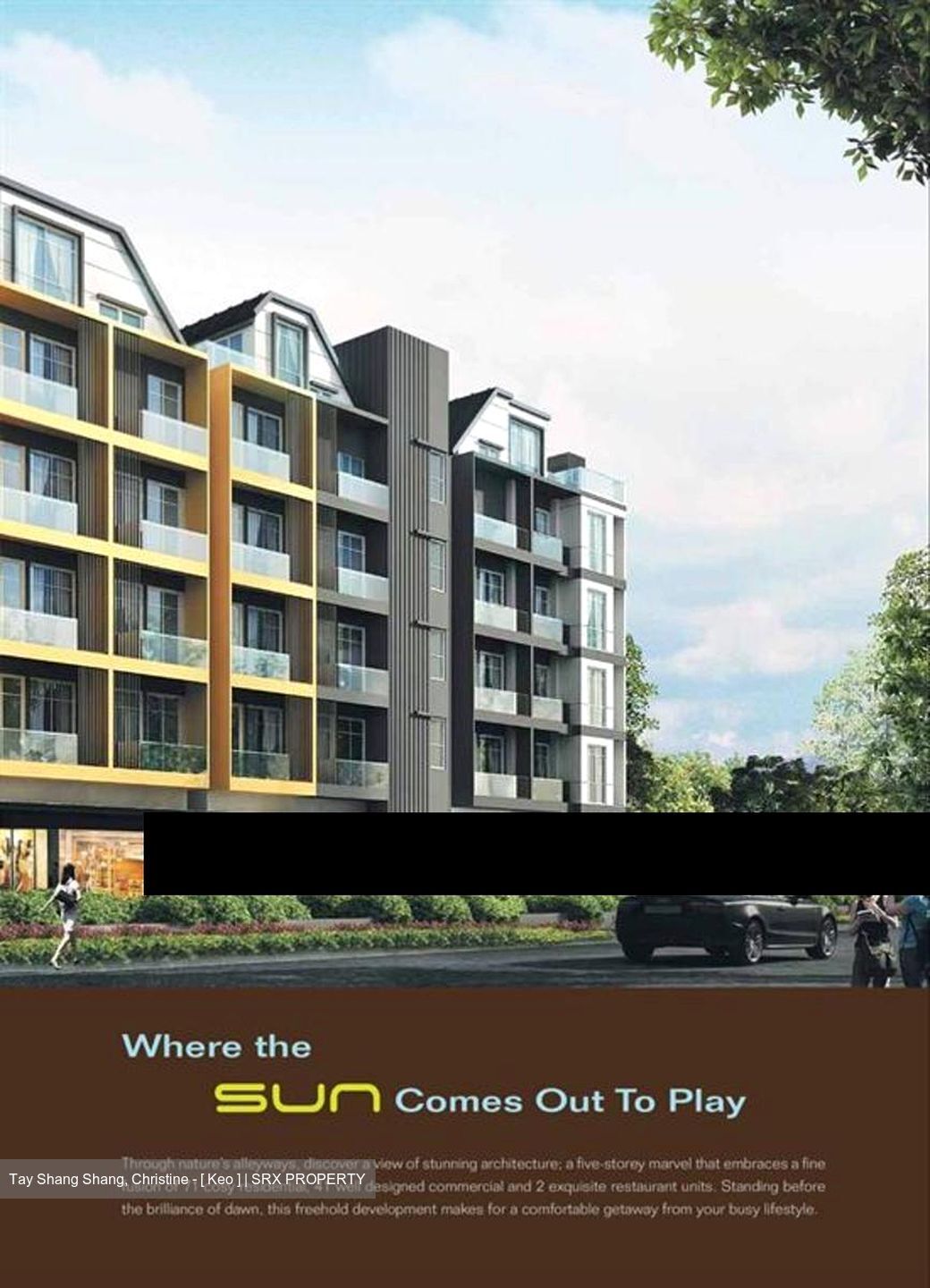 Suites @ Bukit Timah (D21), Shop House #455384051